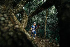 BIB: 
                            <button type="button" onclick="openModal(25666655)" class="btn btn-primary btn-sm float-right btn-popup" data-toggle="modal" data-target=".modal-high-quality">
                        <i class="fas fa-shopping-cart"></i> Add to Cart
                    </button>
                                            <button type="button" onclick="isThisMe(25666655, true)" class="btn btn-success btn-sm float-right btn-popup btn-isme hidden" data-toggle="tooltip" data-placement="bottom" title="นี่คือรูปของคุณใช่ไหม คลิกที่นี่เพื่อเอาเข้าอัลบั้ม">
                        <i class="fas fa-plus"></i> Add to album
                    </button>
                    <button type="button" onclick="isThisMe(25666655, false)" class="btn btn-warning btn-sm float-right btn-popup btn-isnotme hidden">
                        <i class="fas fa-ban"></i> Remove from album
                    </button>